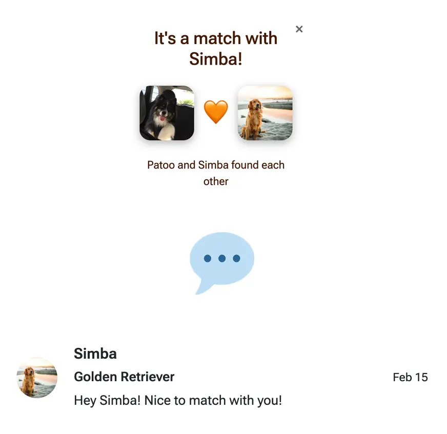 Match notification screen and chat interface